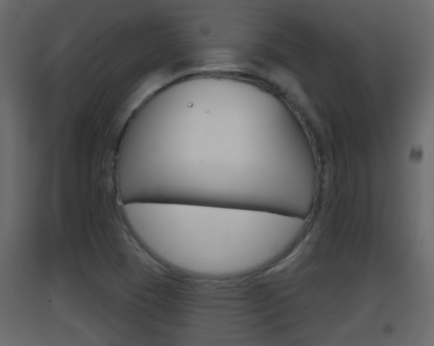 X0000093381409200710111338