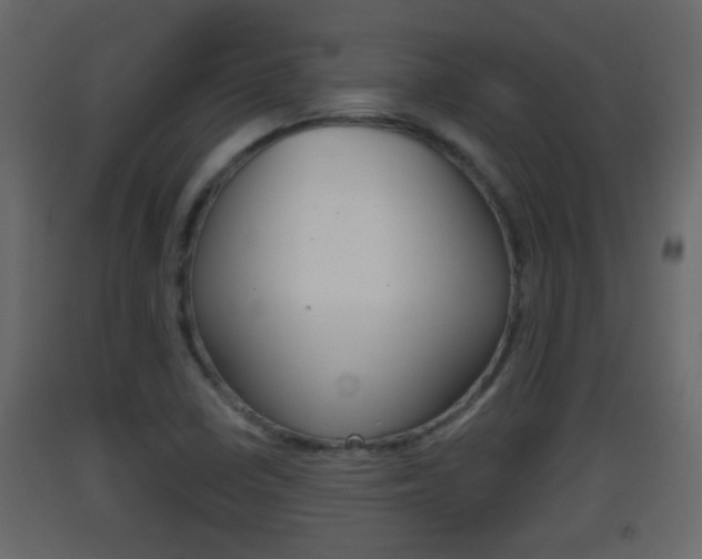 X0000093381410200710111338