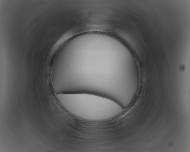 X0000093381411200710111338