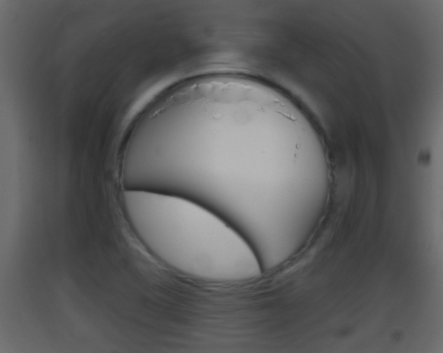 X0000093381415200710111338