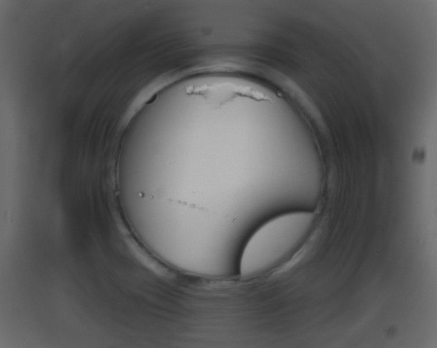 X0000093381417200710111338