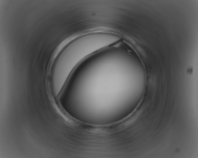 X0000093381418200710111338
