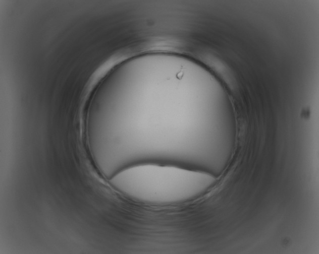 X0000093381419200710111338