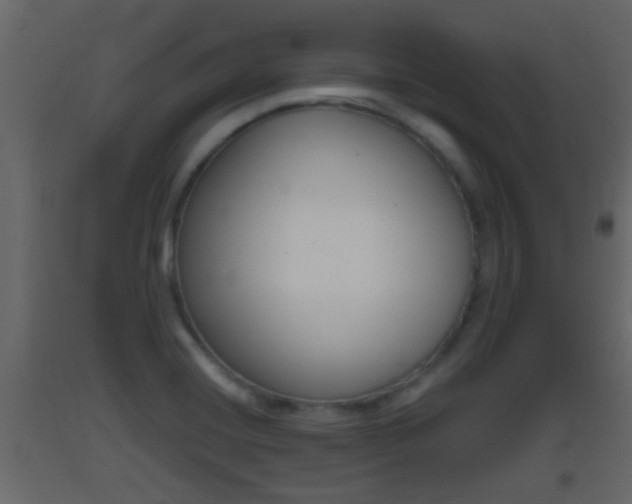X0000093381420200710111338