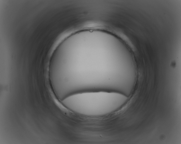 X0000093381421200710111338