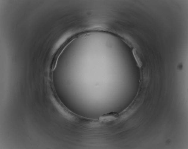 X0000093381422200710111338