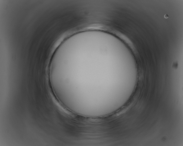 X0000093381423200710111338