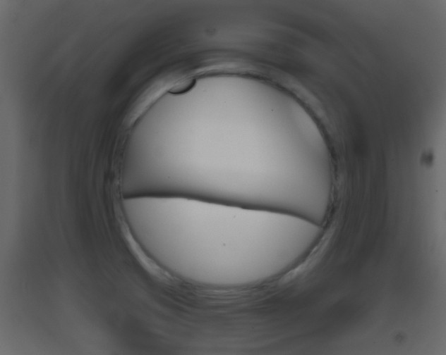 X0000093381425200710111338