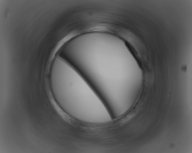 X0000093381426200710111338