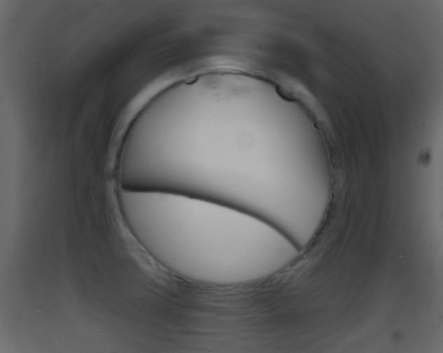 X0000093381427200710111338