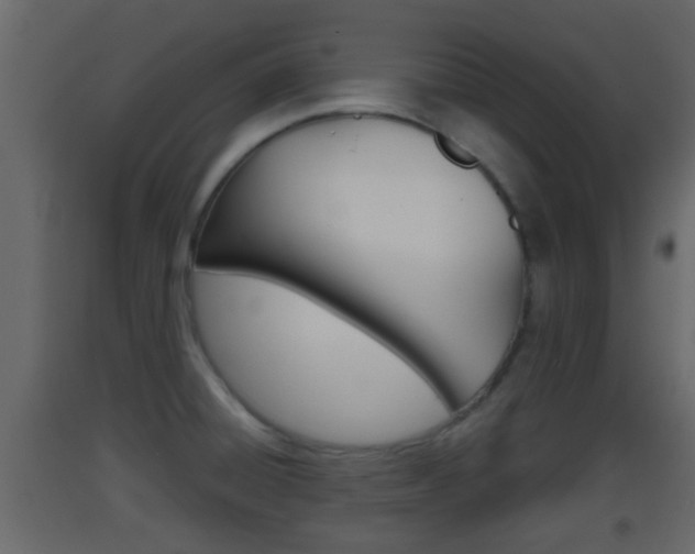 X0000093381428200710111338