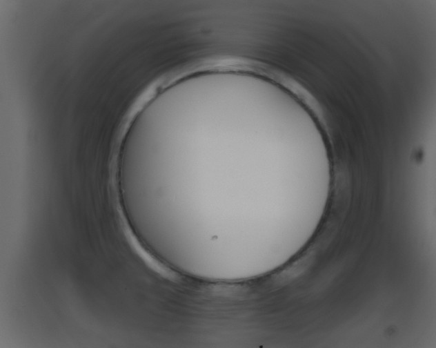 X0000093381429200710111338
