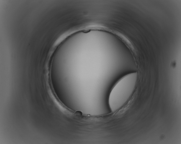 X0000093381430200710111338