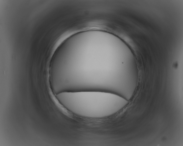 X0000093381431200710111338