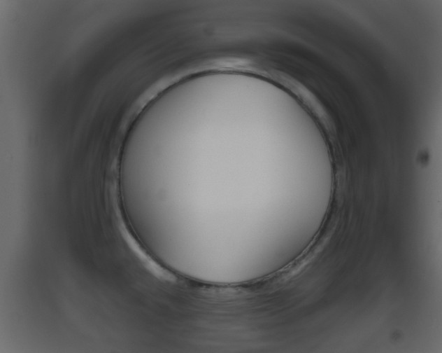X0000093381432200710111338