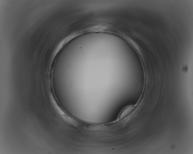 X0000093381434200710111338