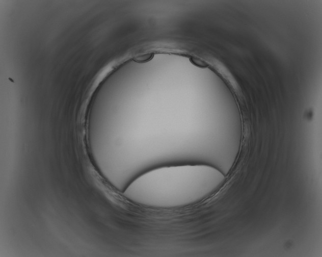 X0000093381435200710111338
