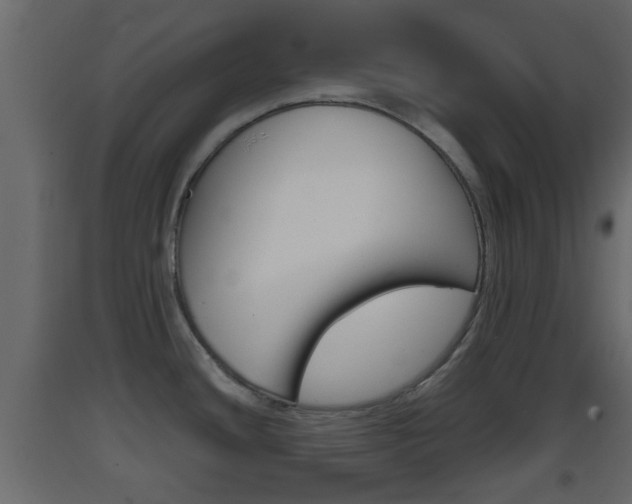 X0000093381436200710111338