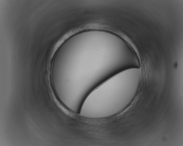 X0000093381437200710111338