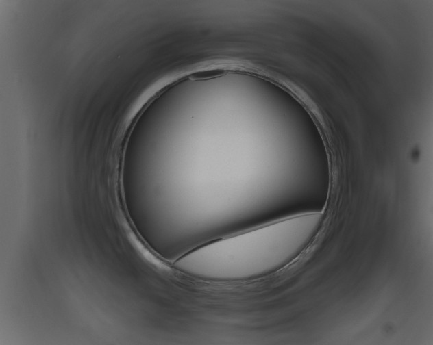 X0000093381438200710111338
