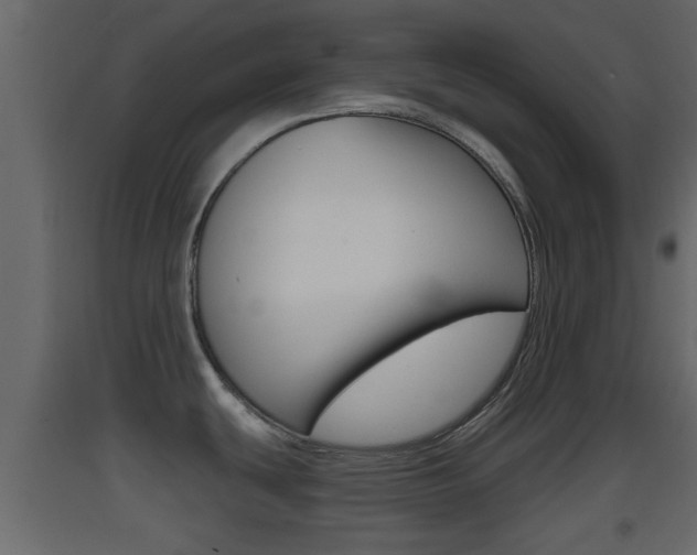 X0000093381439200710111338