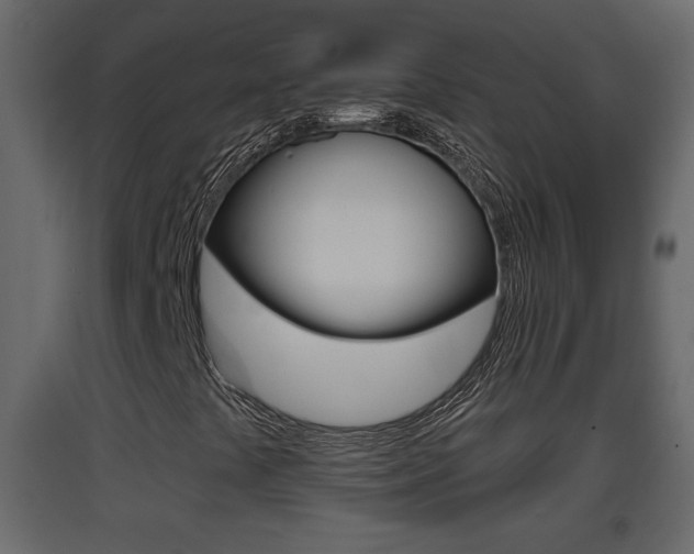 X0000093381441200710111338