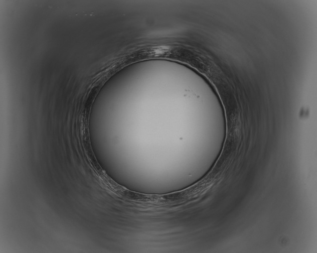 X0000093381442200710111338