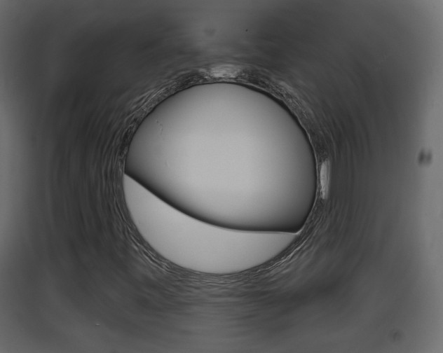 X0000093381443200710111338