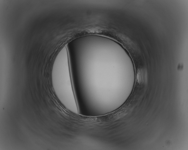 X0000093381444200710111338