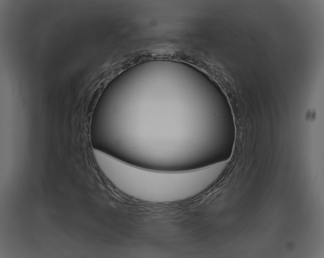 X0000093381445200710111338