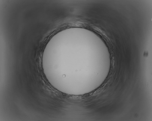 X0000093381446200710111338