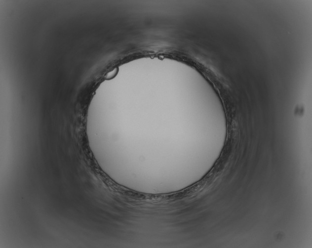 X0000093381447200710111338