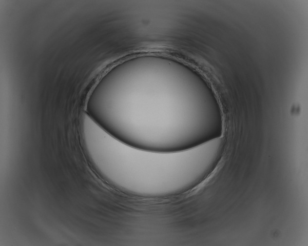 X0000093381449200710111338