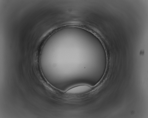 X0000093381450200710111338