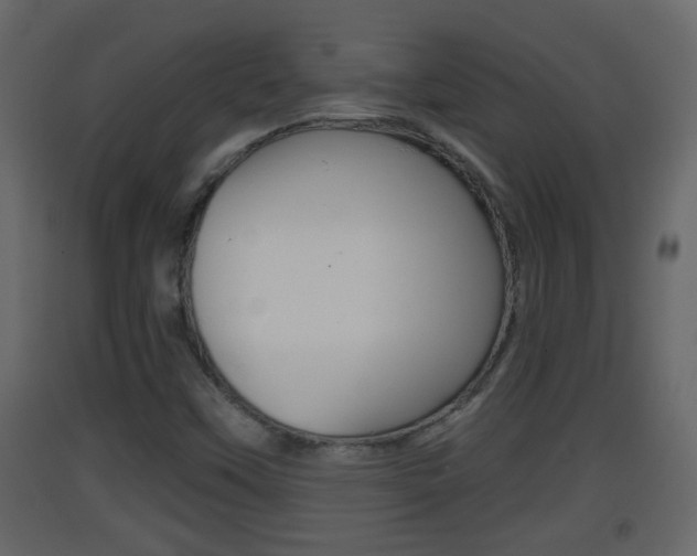 X0000093381451200710111338