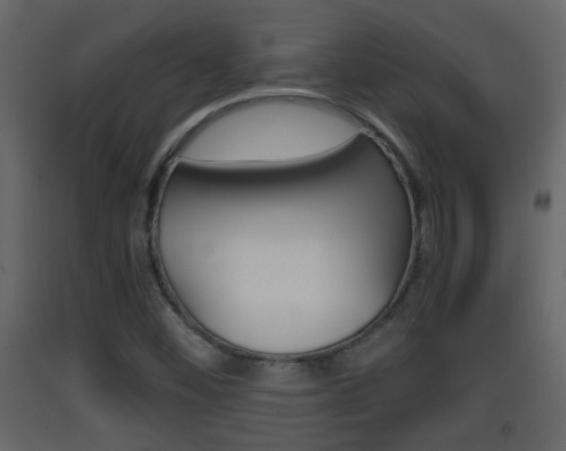 X0000093381452200710111338