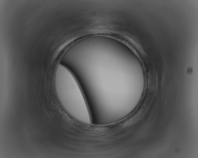 X0000093381453200710111338