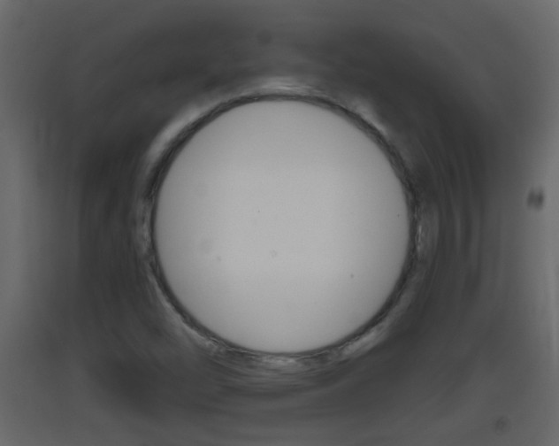 X0000093381454200710111338
