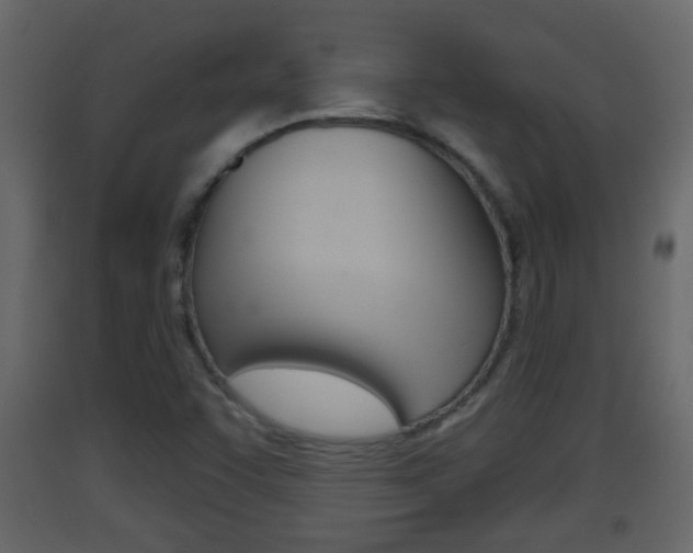 X0000093381455200710111338
