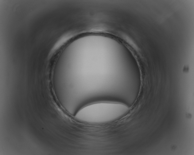 X0000093381456200710111338
