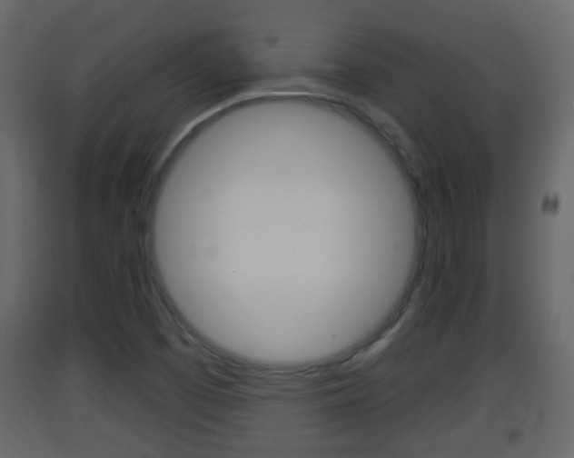 X0000093381457200710111338
