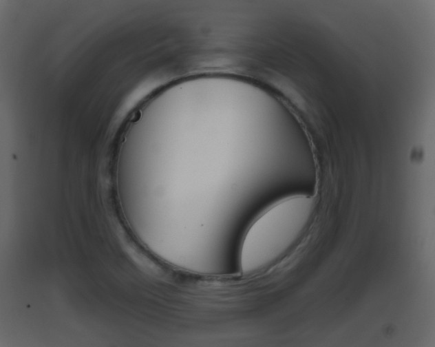 X0000093381458200710111338