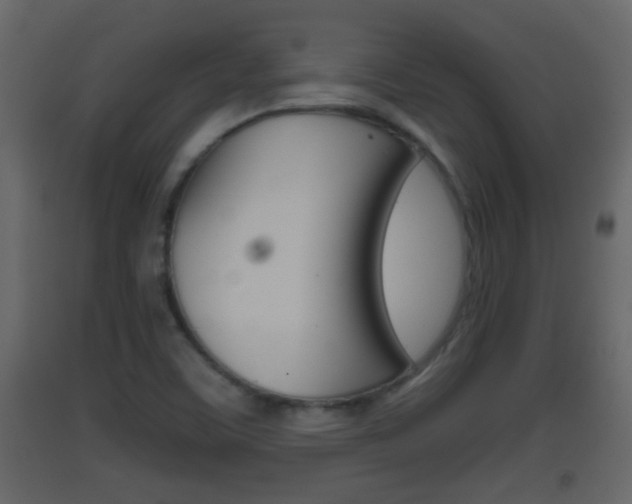 X0000093381459200710111338