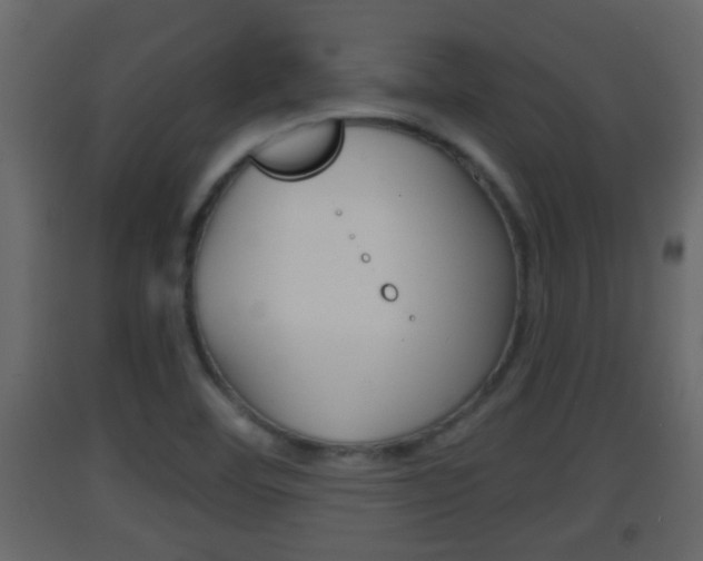 X0000093381460200710111338