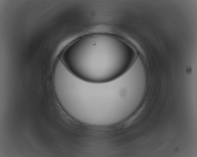 X0000093381461200710111338