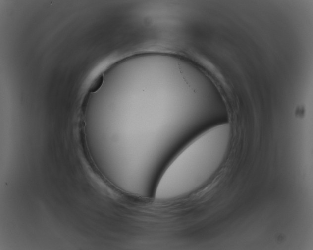 X0000093381463200710111338