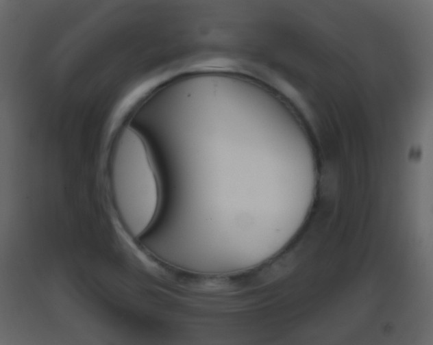X0000093381464200710111338