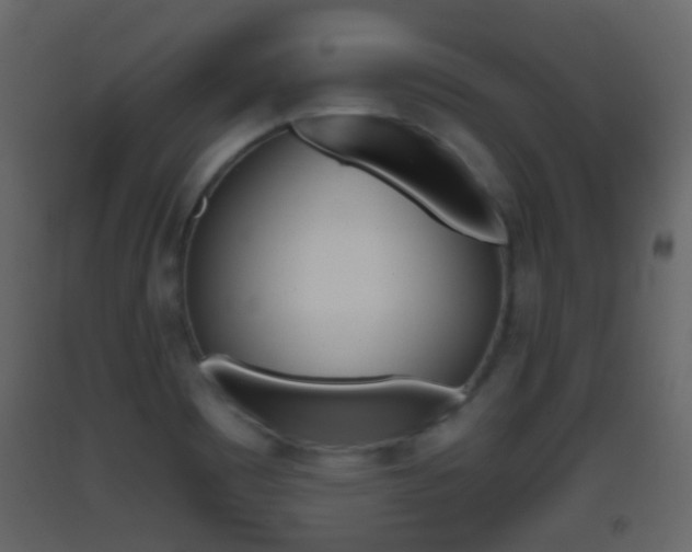 X0000093381465200710111338
