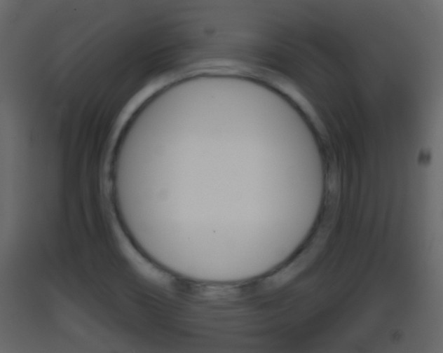 X0000093381466200710111338