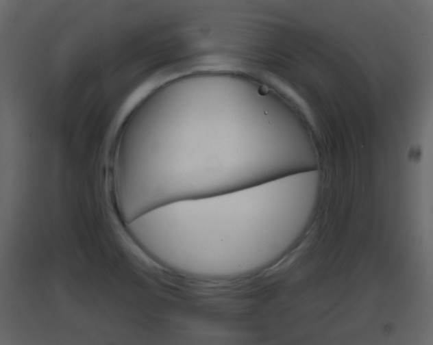 X0000093381467200710111338